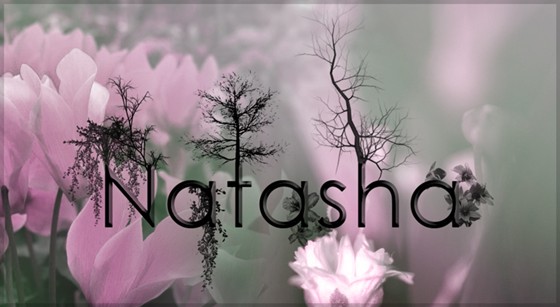 Logotype: Logo Natasha